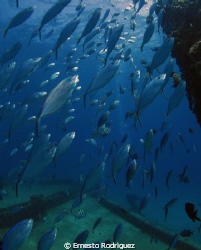 crash boat canon g9 with inons strobes by Ernesto Rodriguez 